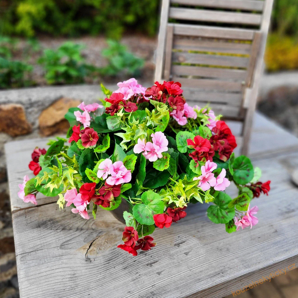 REZERVACE - Mísa s pelargoniemi