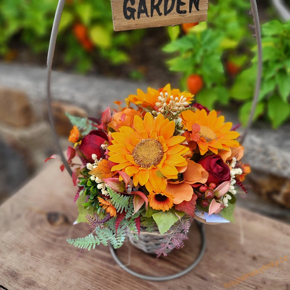 Sušina svazek - Anaphalis