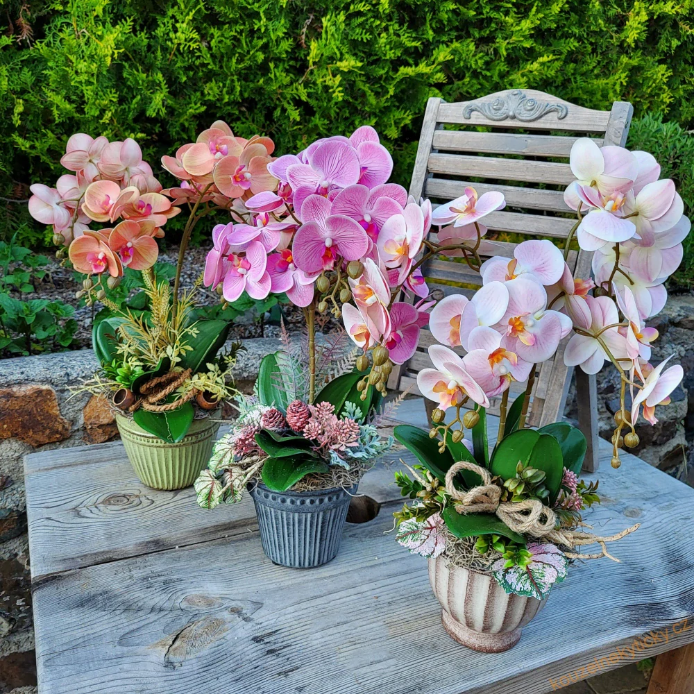 Orchidej barevná  -  Sytě růžová 