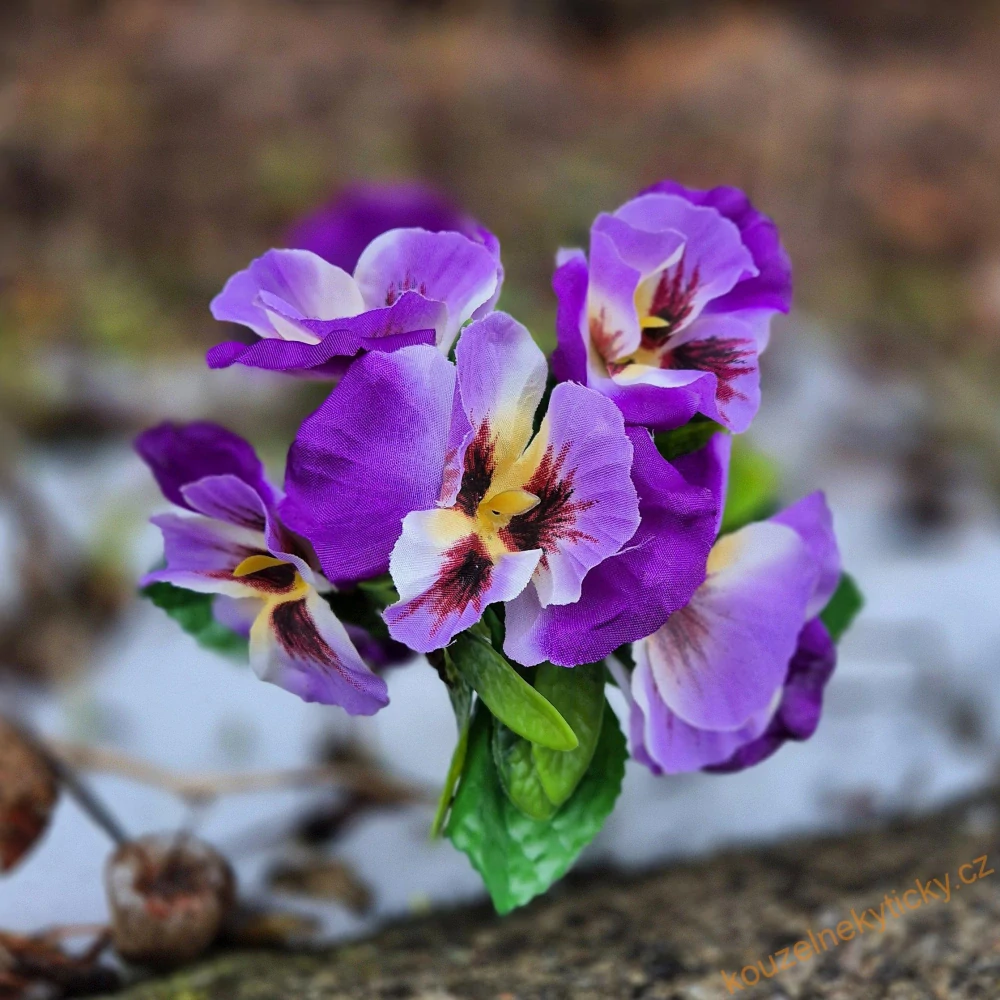 Narcisky - svazek- žluté 