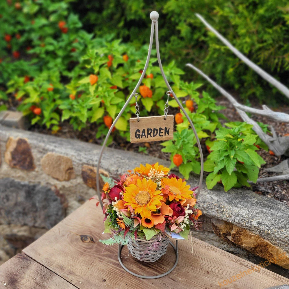 Sušina svazek - Anaphalis