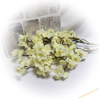 Větvička květoucí třešňová 