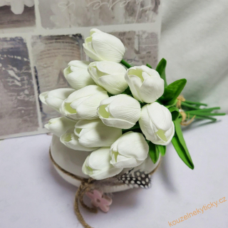 Tulipán pěnový - bílý 