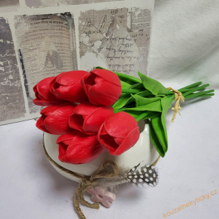 Tulipán pěnový - červený 