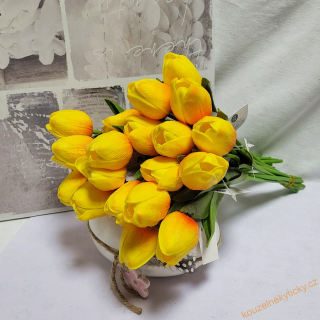 Tulipán pěnový - žluto-červený 