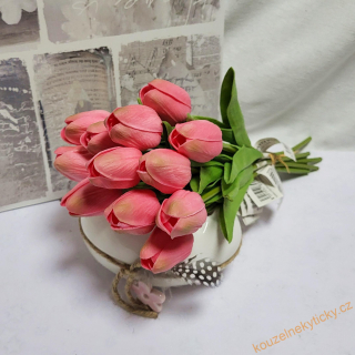 Tulipán pěnový - růžový sytý 