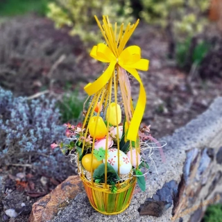 Klícka velikonoční - žlutá