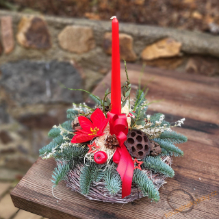 Vánoční živý svícen na věnečku -  poinsetie 