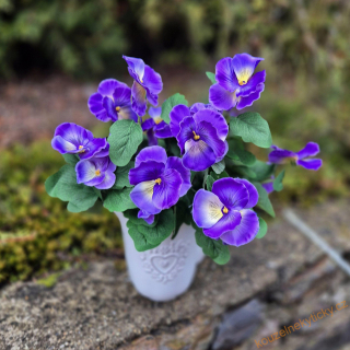 Trs macešek - do modra 