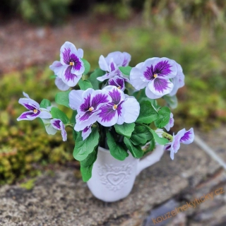 Trs macešek - bílé s tmavým okem 