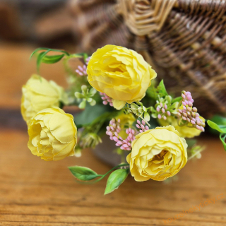 Pryskyřníky větší - žluté 