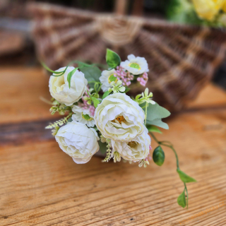 Pryskyřníky větší - krémové 