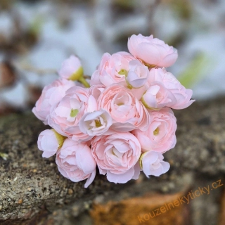 Pryskyřníky drobnější svazek - růžové 