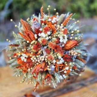  Kytice  sušinová  - Orange protey 